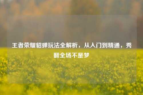 王者荣耀貂蝉玩法全解析，从入门到精通，秀翻全场不是梦