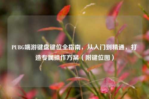PUBG端游键盘键位全指南,从入门到精通,打造专属操作方案(附键位图)