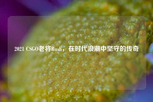 2021 CSGO老将Rush，在时代浪潮中坚守的传奇