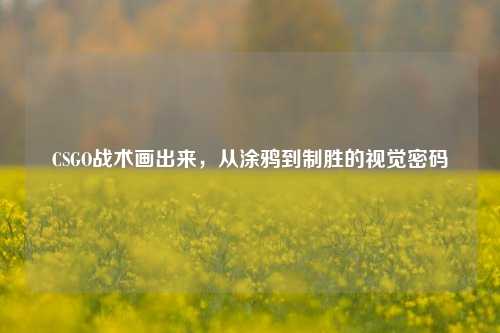 CSGO战术画出来，从涂鸦到制胜的视觉密码