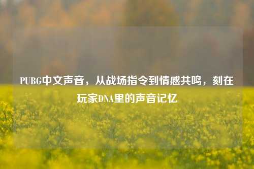 PUBG中文声音,从战场指令到情感共鸣,刻在玩家DNA里的声音记忆
