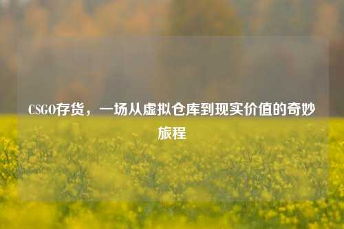 CSGO存货,一场从虚拟仓库到现实价值的奇妙旅程