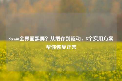 Steam全界面黑屏？从缓存到驱动，5个实用方案帮你恢复正常