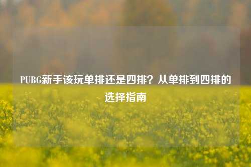 PUBG新手该玩单排还是四排?从单排到四排的选择指南