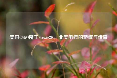 美国CSGO魔王Stewie2K，北美电竞的骄傲与传奇