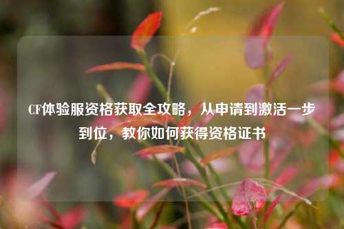 CF体验服资格获取全攻略,从申请到激活一步到位,教你如何获得资格证书