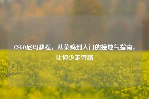 CSGO尼玛教程，从菜鸡到入门的接地气指南，让你少走弯路