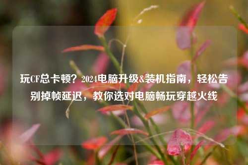 玩CF总卡顿？2024电脑升级&装机指南，轻松告别掉帧延迟，教你选对电脑畅玩穿越火线
