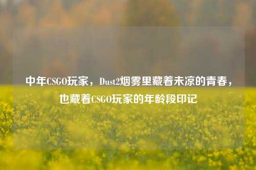 中年CSGO玩家,Dust2烟雾里藏着未凉的青春,也藏着CSGO玩家的年龄段印记