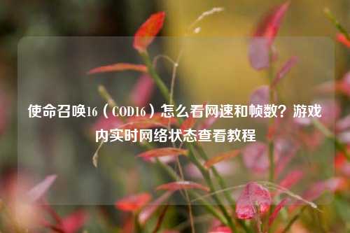 使命召唤16（COD16）怎么看网速和帧数？游戏内实时网络状态查看教程