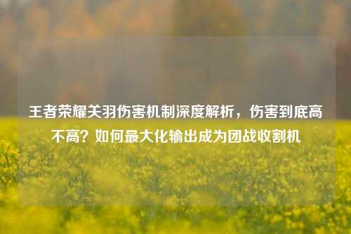 王者荣耀关羽伤害机制深度解析，伤害到底高不高？如何最大化输出成为团战收割机