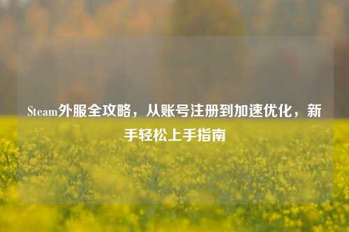 Steam外服全攻略,从账号注册到加速优化,新手轻松上手指南