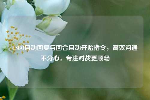 CSGO自动回复与回合自动开始指令,高效沟通不分心,专注对战更顺畅