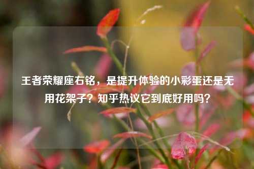 王者荣耀座右铭,是提升体验的小彩蛋还是无用花架子?知乎热议它到底好用吗?