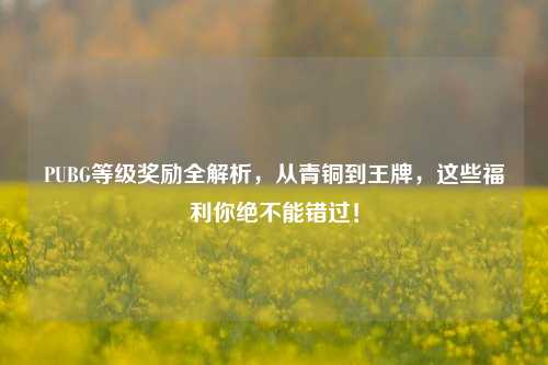 PUBG等级奖励全解析，从青铜到王牌，这些福利你绝不能错过！
