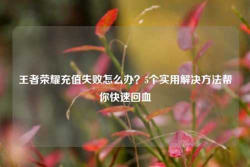 王者荣耀充值失败怎么办?5个实用解决方法帮你快速回血