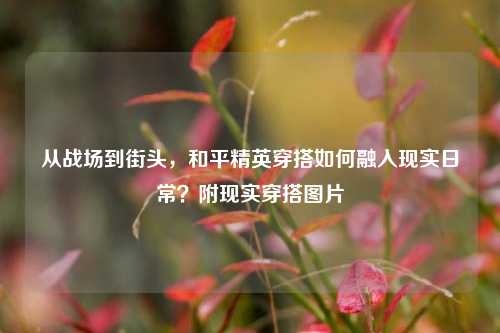 从战场到街头,和平精英穿搭如何融入现实日常?附现实穿搭图片