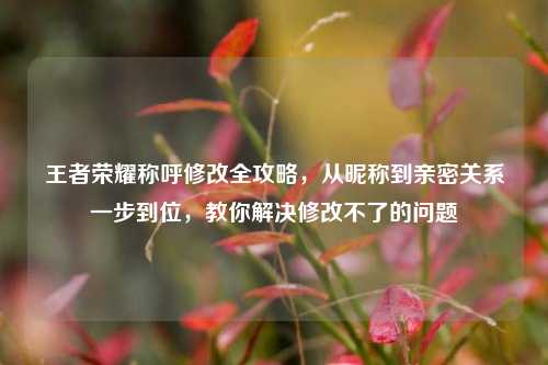 王者荣耀称呼修改全攻略，从昵称到亲密关系一步到位，教你解决修改不了的问题