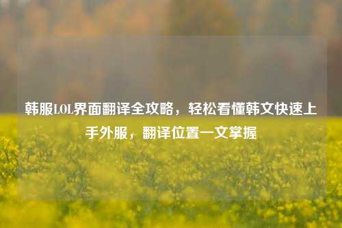 韩服LOL界面翻译全攻略，轻松看懂韩文快速上手外服，翻译位置一文掌握