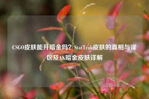 CSGO皮肤能升暗金吗?StatTrak皮肤的真相与误区及AK暗金皮肤详解