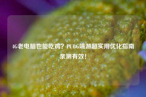 4G老电脑也能吃鸡?PUBG端游超实用优化指南亲测有效!