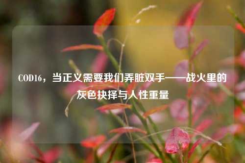 COD16，当正义需要我们弄脏双手——战火里的灰色抉择与人性重量