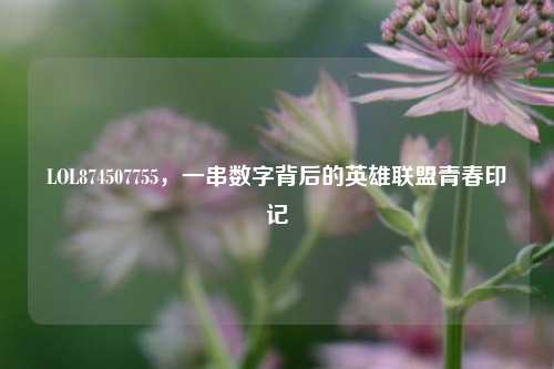 LOL874507755,一串数字背后的英雄联盟青春印记
