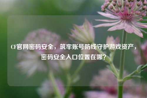 CF官网密码安全,筑牢账号防线守护游戏资产,密码安全入口位置在哪?