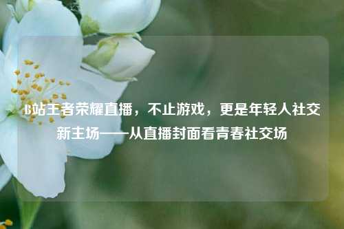 B站王者荣耀直播，不止游戏，更是年轻人社交新主场——从直播封面看青春社交场
