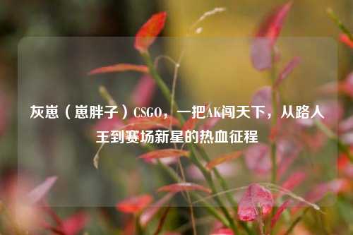 灰崽(崽胖子)CSGO,一把AK闯天下,从路人王到赛场新星的热血征程