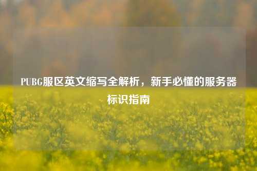 PUBG服区英文缩写全解析，新手必懂的服务器标识指南