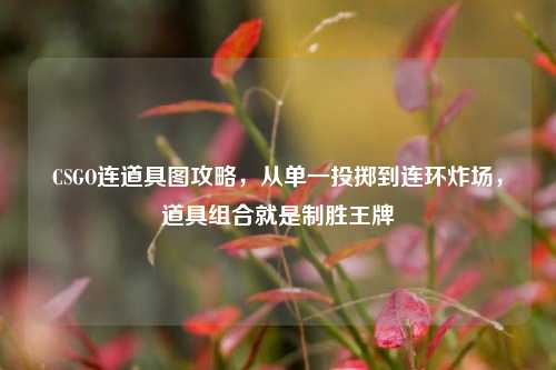 CSGO连道具图攻略，从单一投掷到连环炸场，道具组合就是制胜王牌