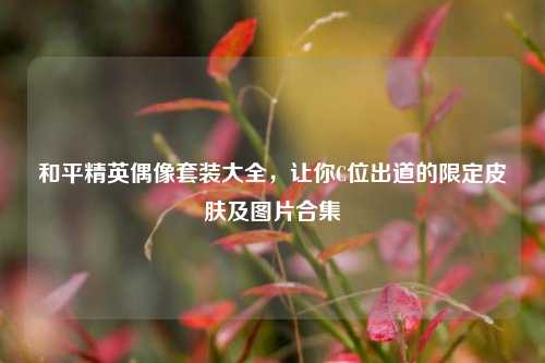 和平精英偶像套装大全，让你C位出道的限定皮肤及图片合集
