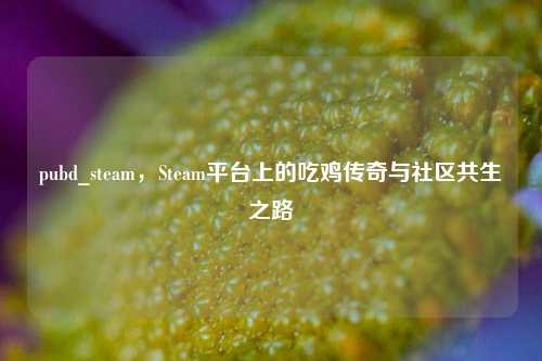pubd_steam，Steam平台上的吃鸡传奇与社区共生之路