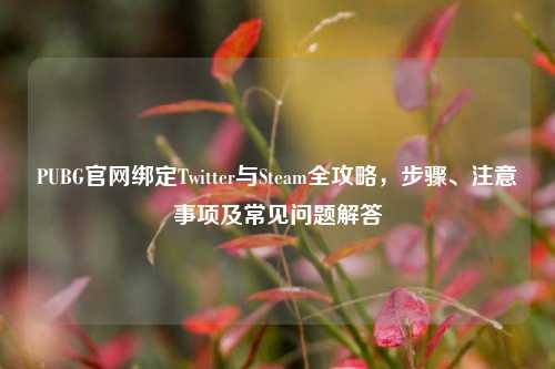 PUBG官网绑定Twitter与Steam全攻略,步骤、注意事项及常见问题解答