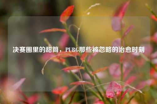 决赛圈里的甜筒,PUBG那些被忽略的治愈时刻