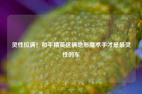 灵性拉满！和平精英这辆地形魔术手才是最灵性的车