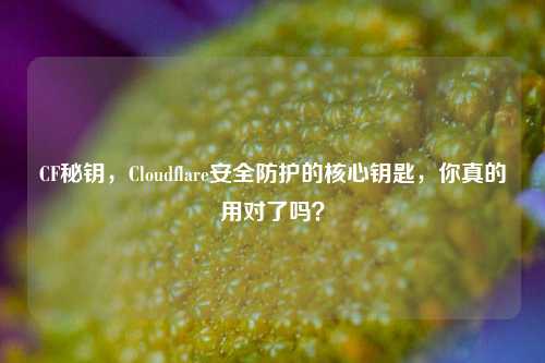 CF秘钥,Cloudflare安全防护的核心钥匙,你真的用对了吗?