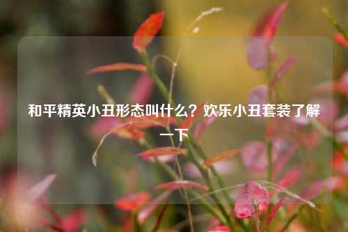 和平精英小丑形态叫什么？欢乐小丑套装了解一下