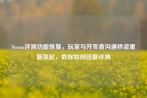 Steam评测功能恢复,玩家与开发者沟通桥梁重新架起,教你如何回复评测