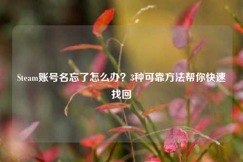 Steam账号名忘了怎么办?3种可靠方法帮你快速找回