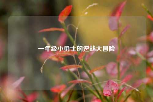 一年级小勇士的逆战大冒险