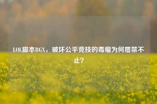LOL脚本BGX，破坏公平竞技的毒瘤为何屡禁不止？