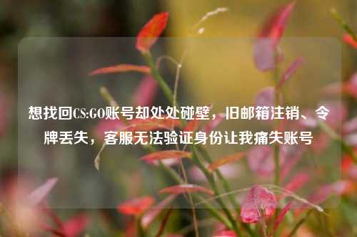 想找回CS:GO账号却处处碰壁，旧邮箱注销、令牌丢失，客服无法验证身份让我痛失账号