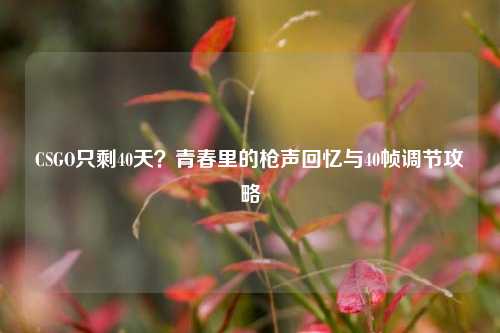CSGO只剩40天?青春里的枪声回忆与40帧调节攻略