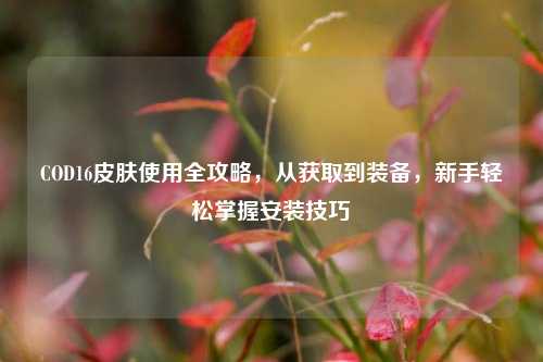 COD16皮肤使用全攻略,从获取到装备,新手轻松掌握安装技巧