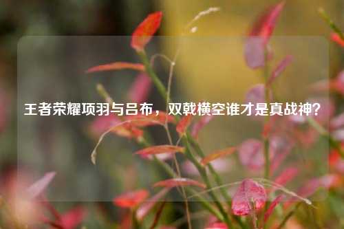 王者荣耀项羽与吕布,双戟横空谁才是真战神?