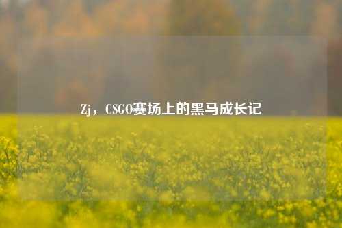 Zj,CSGO赛场上的黑马成长记