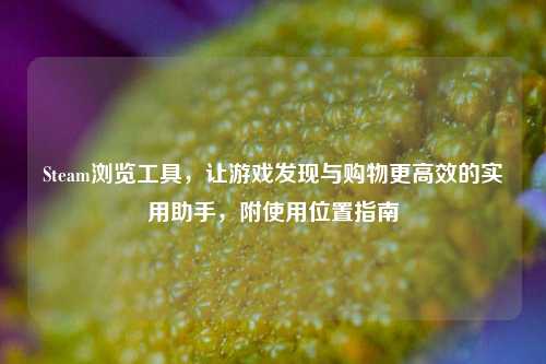 Steam浏览工具,让游戏发现与购物更高效的实用助手,附使用位置指南
