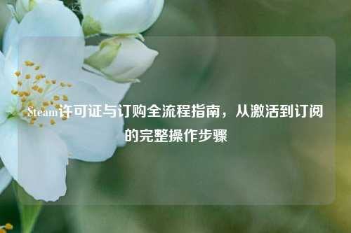 Steam许可证与订购全流程指南，从激活到订阅的完整操作步骤